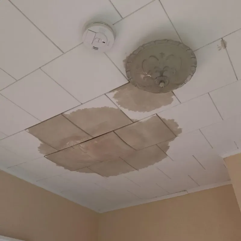 Ceiling Water Damage Repair in Clay County, NC