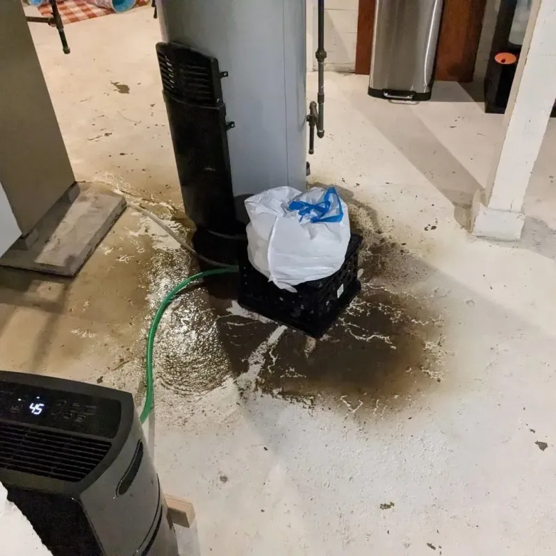 Sewage Backup Cleanup Service in Clay County, NC